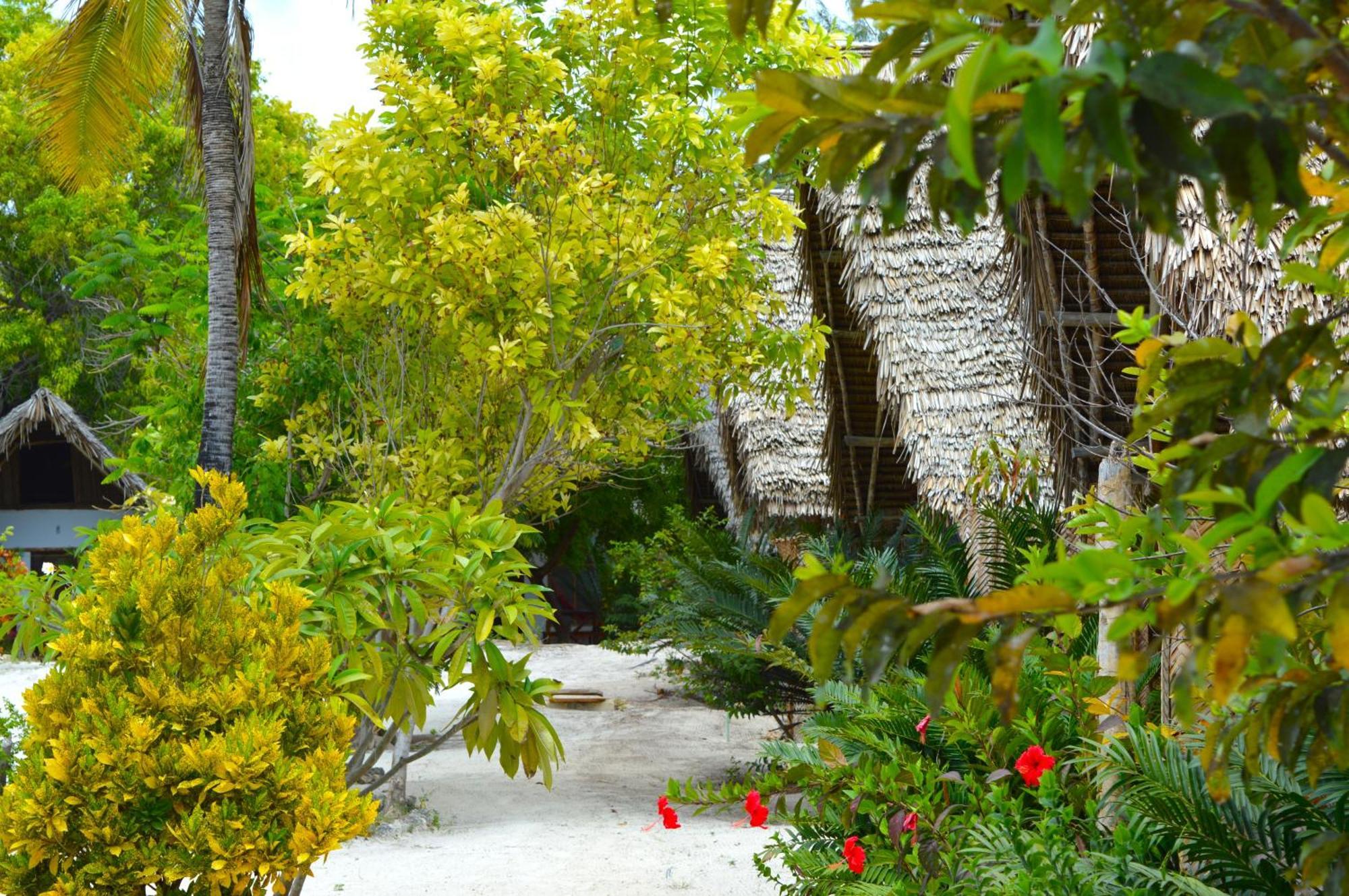 New Jambo Bungalows Paje Extérieur photo