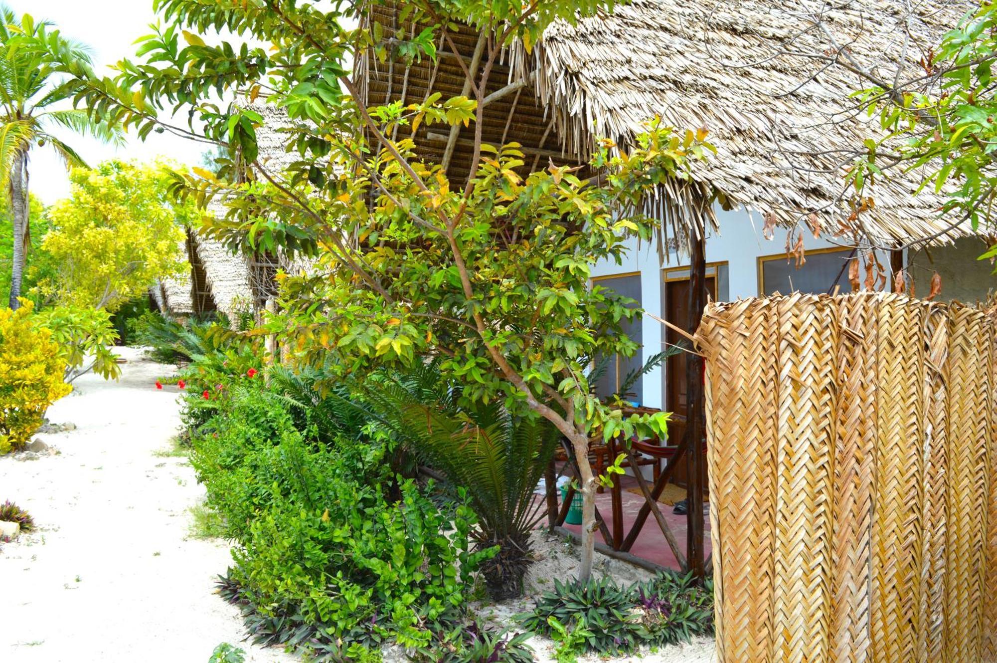 New Jambo Bungalows Paje Extérieur photo