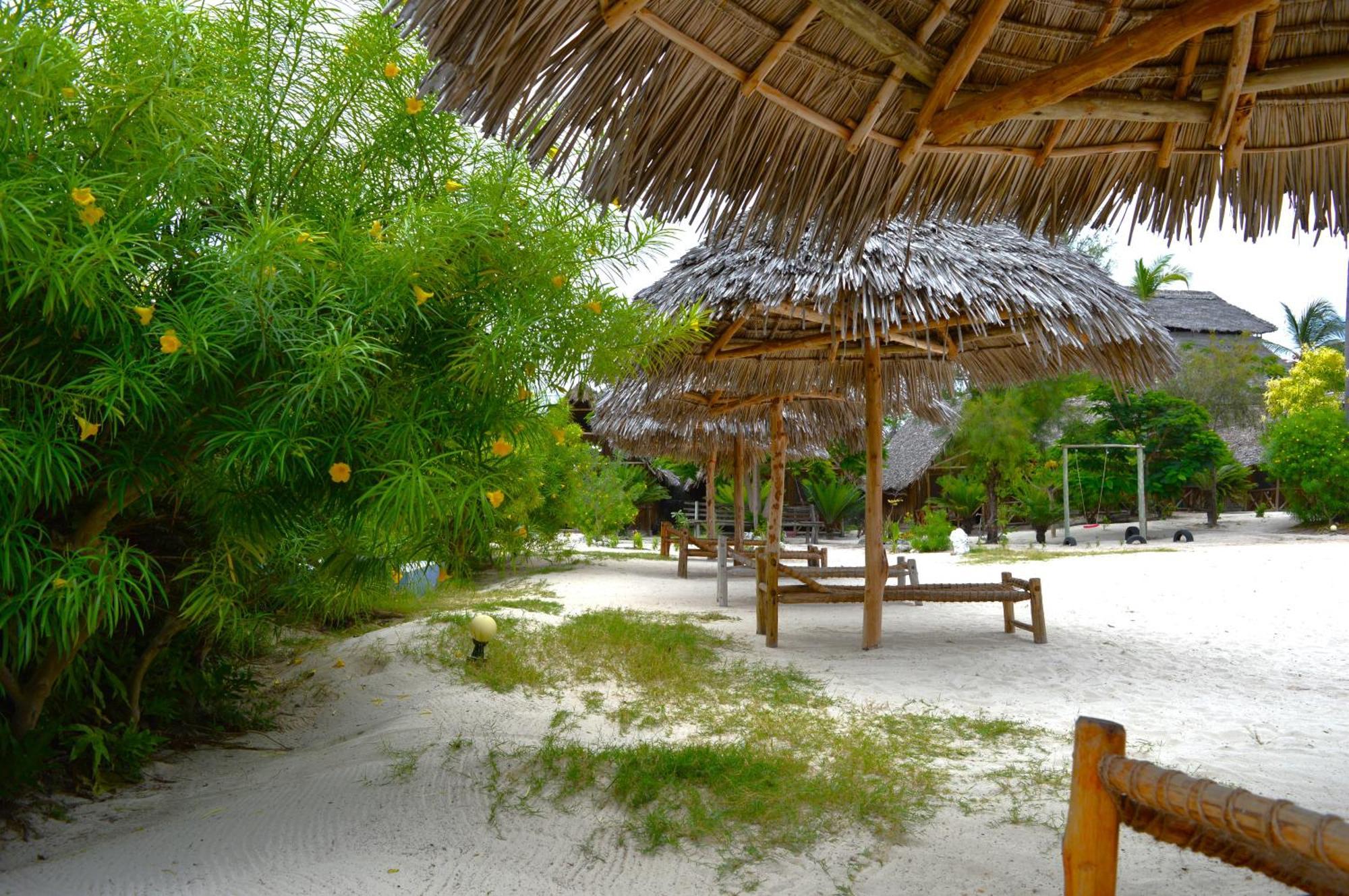 New Jambo Bungalows Paje Extérieur photo