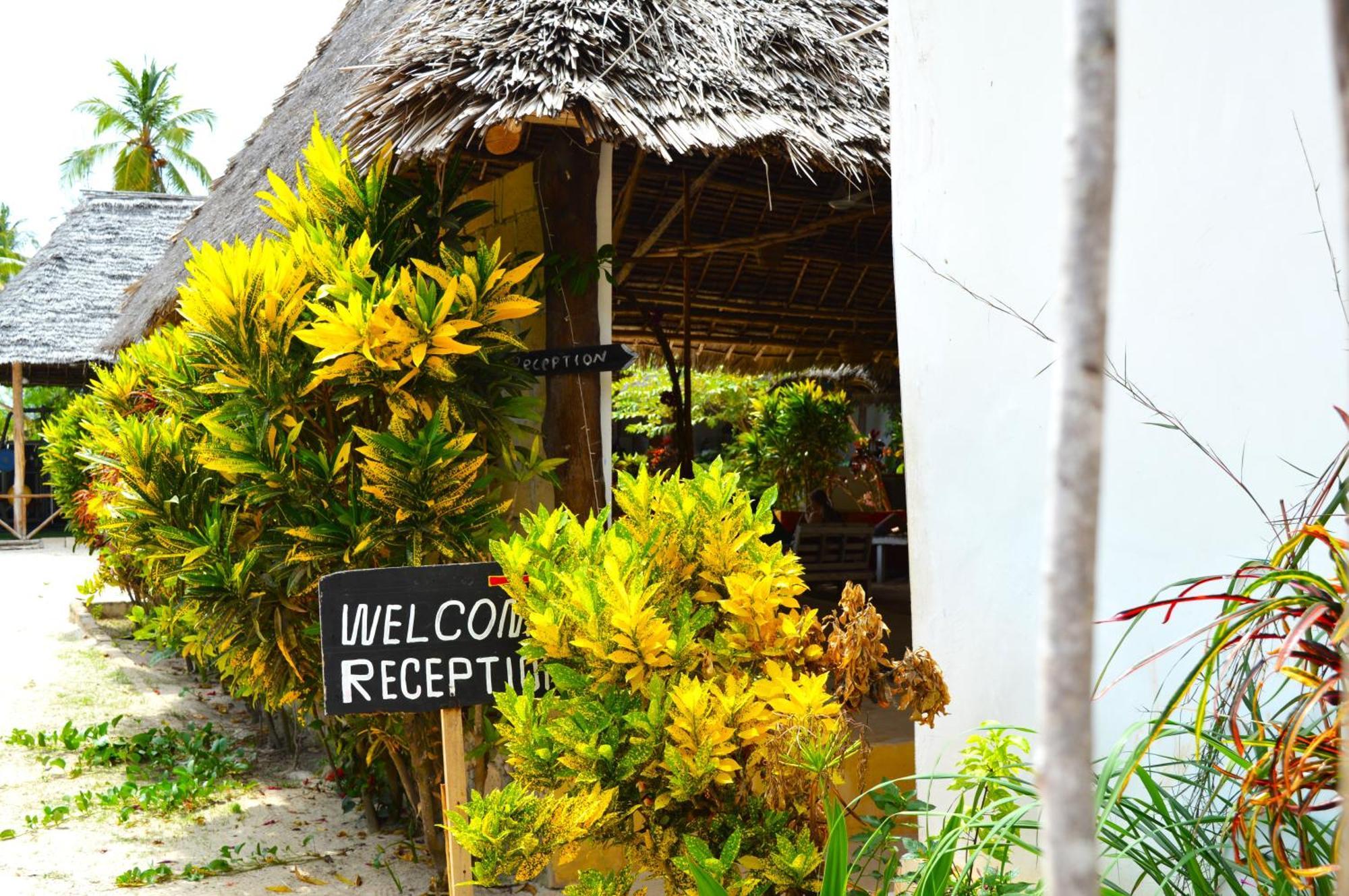 New Jambo Bungalows Paje Extérieur photo