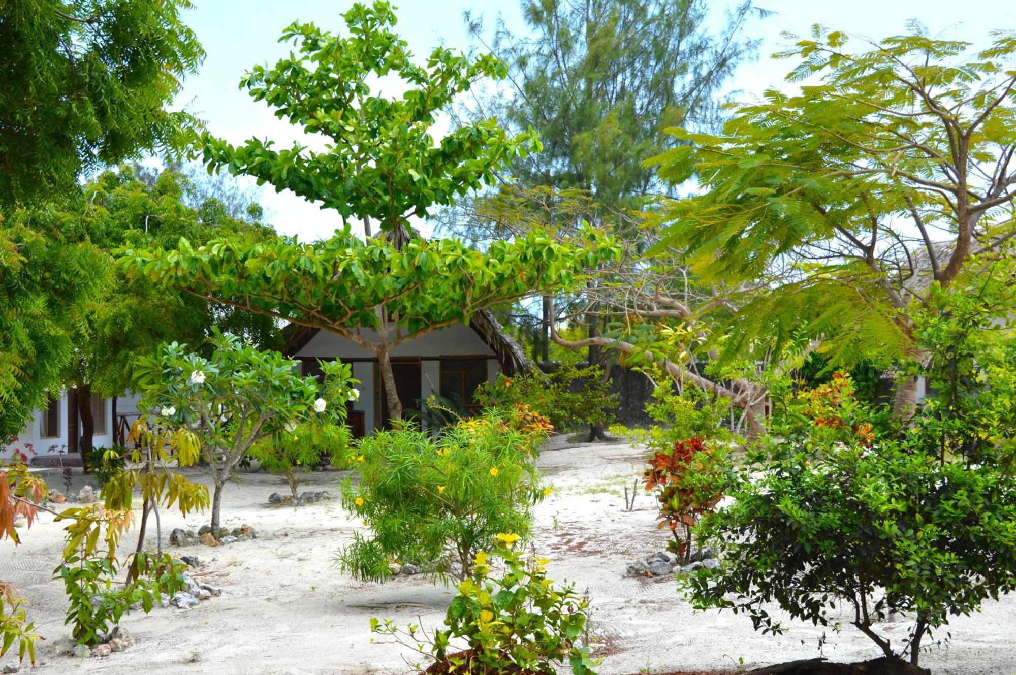 New Jambo Bungalows Paje Extérieur photo
