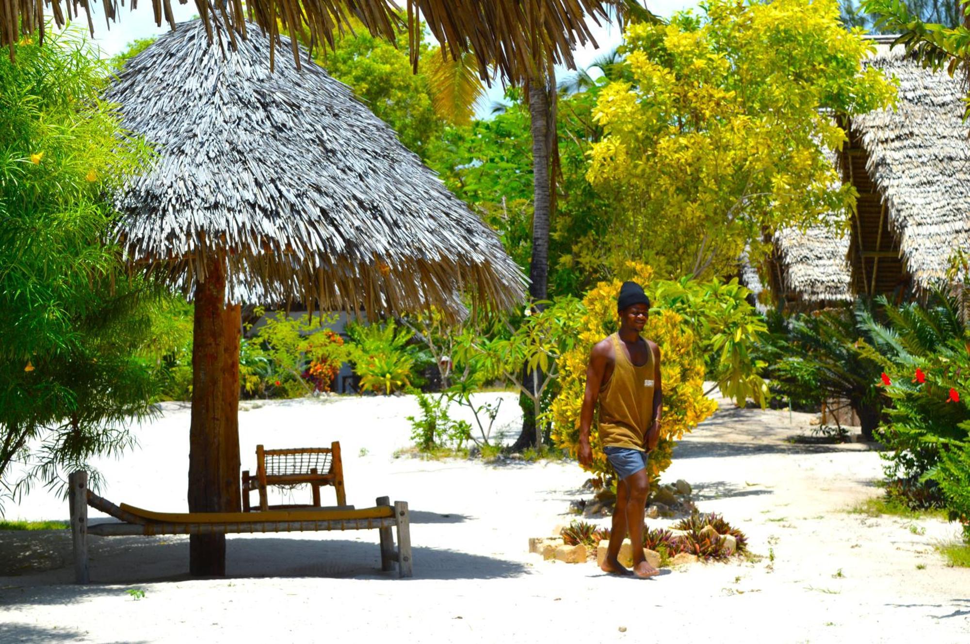 New Jambo Bungalows Paje Extérieur photo