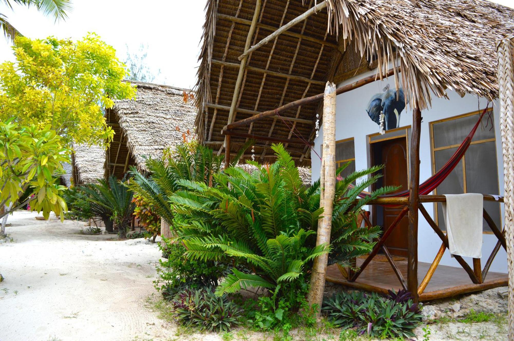 New Jambo Bungalows Paje Extérieur photo