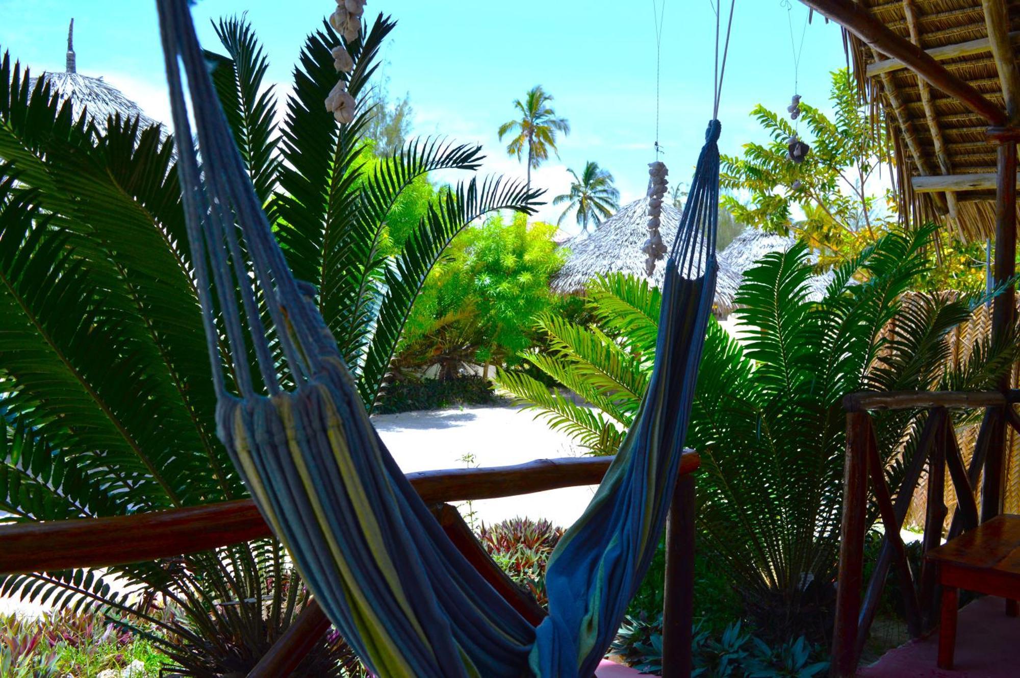 New Jambo Bungalows Paje Extérieur photo