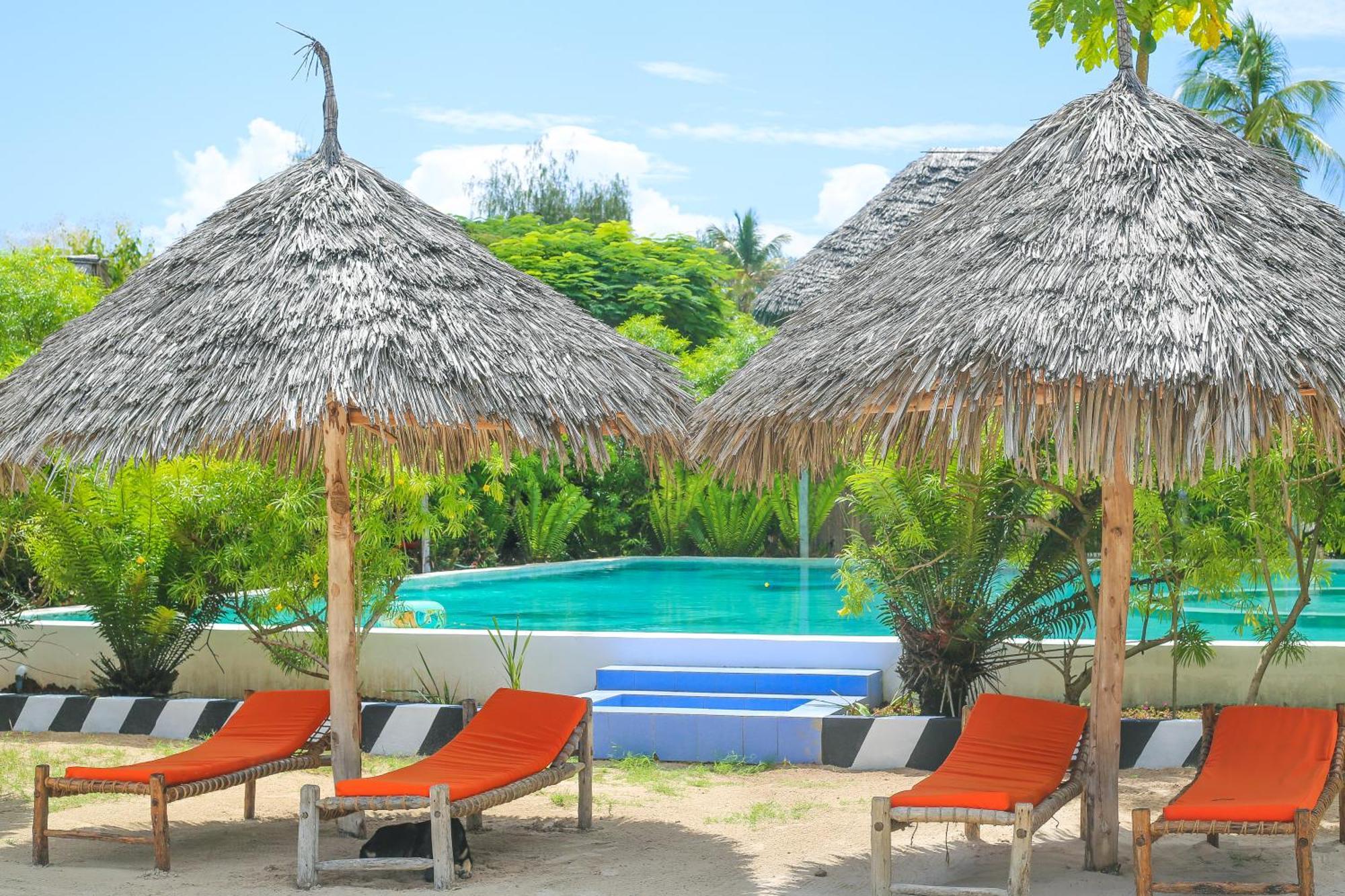 New Jambo Bungalows Paje Extérieur photo