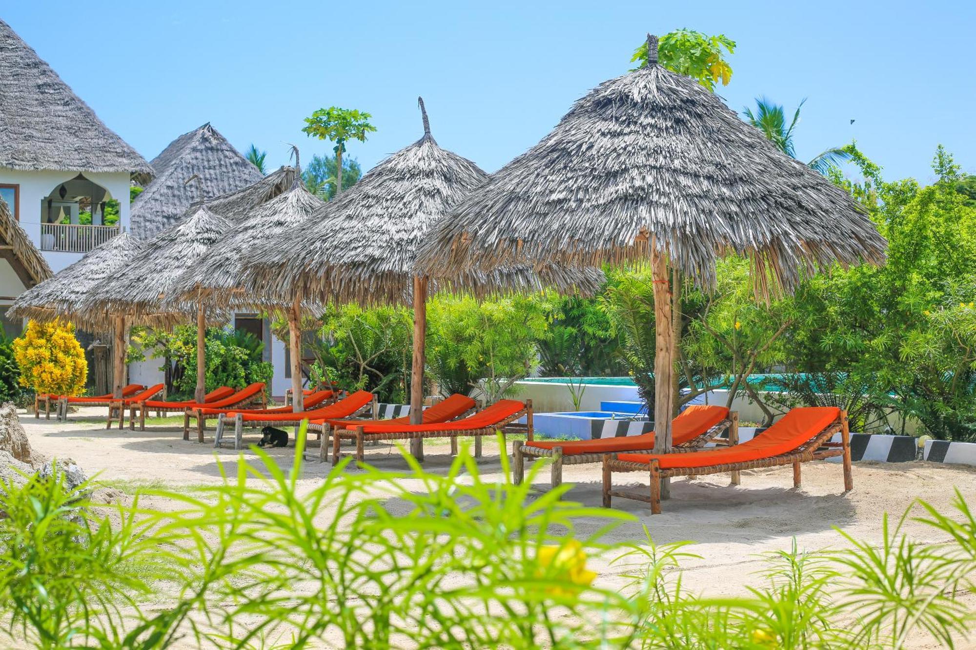 New Jambo Bungalows Paje Extérieur photo