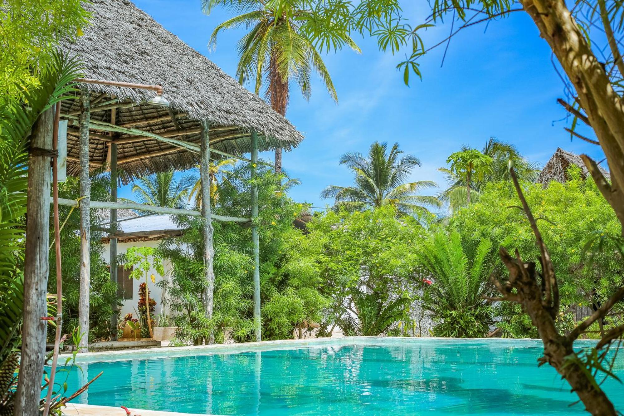 New Jambo Bungalows Paje Extérieur photo